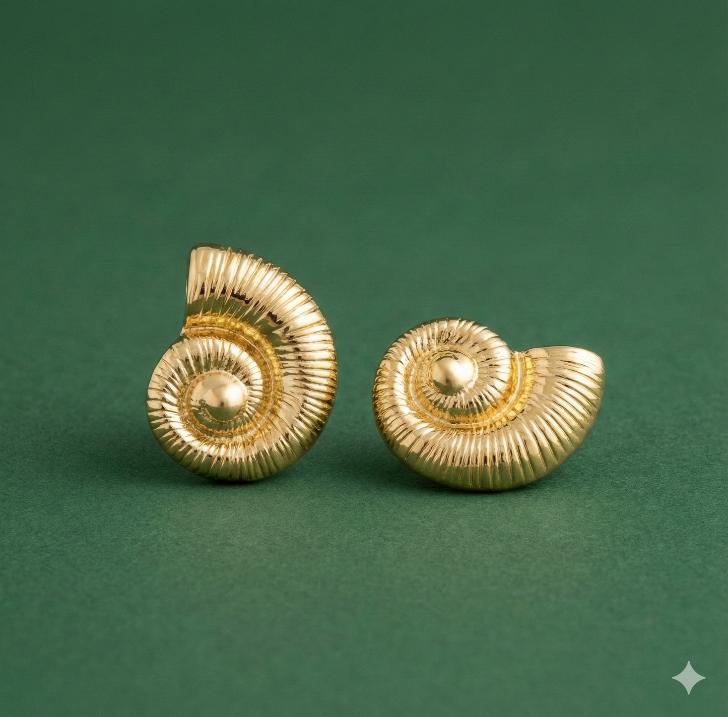 Sea Snail Shell Earrings